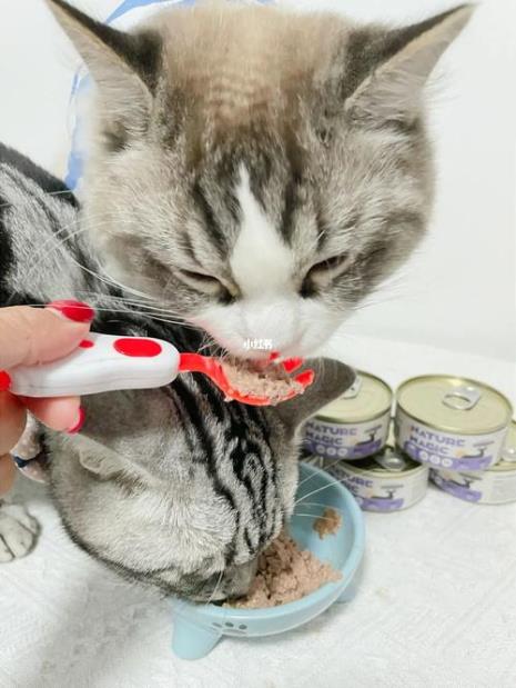 猫吃鹿肉有什么好处