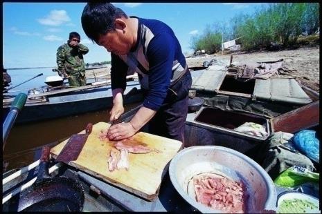 杀生鱼方法步骤是
