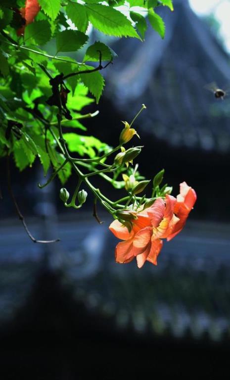 人生漫漫岁月悠悠意思