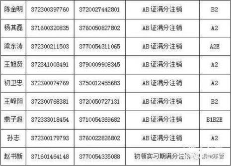 档案编号是不是驾驶证号