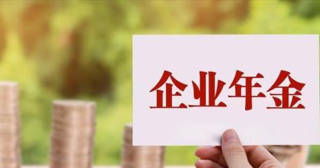 公司经济性质是什么