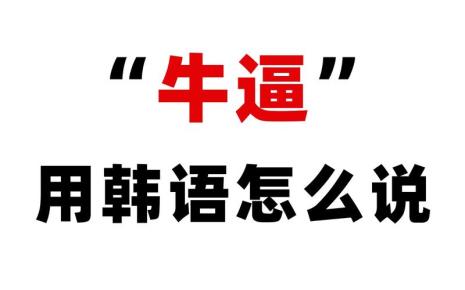 韩国很nb的D社是什么求科普