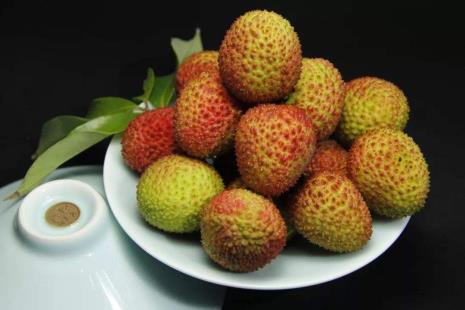 荔枝膜是不是半透膜