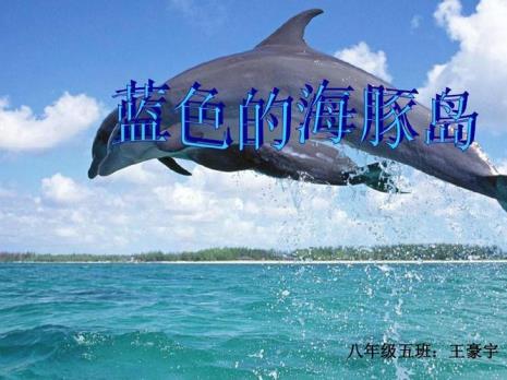蓝色的海豚岛第一章主要内容