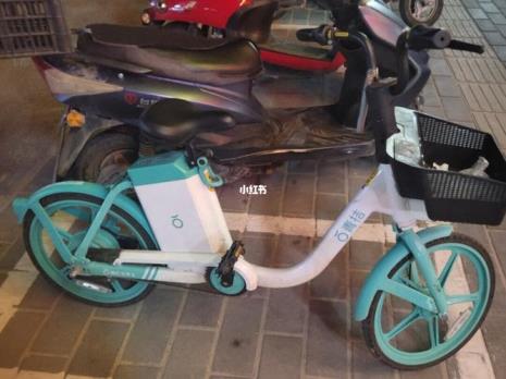 青桔电单车出交通事故有保险吗