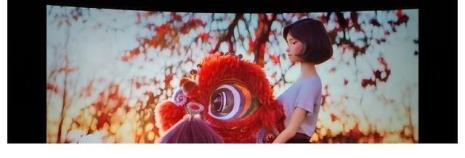 怎么评价电影《雄狮》