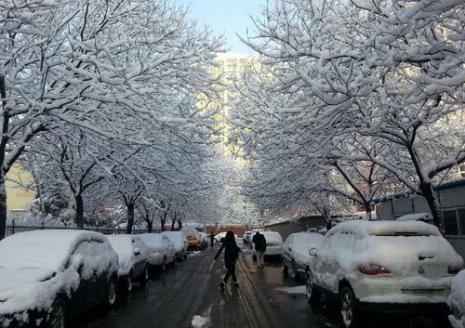 北京雪姓的由来