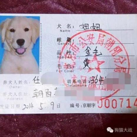 给狗办户口的免疫证怎么弄