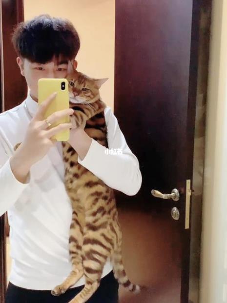 玩具虎猫创始人