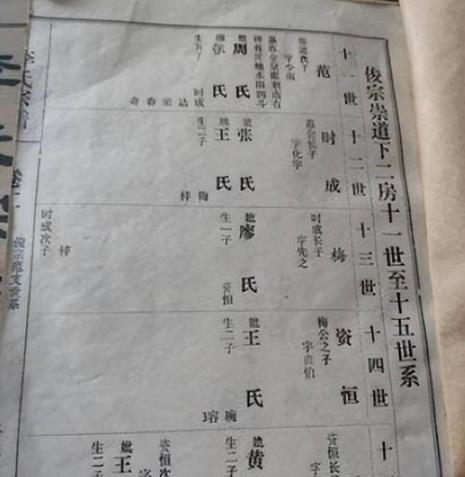 家族印记什么意思