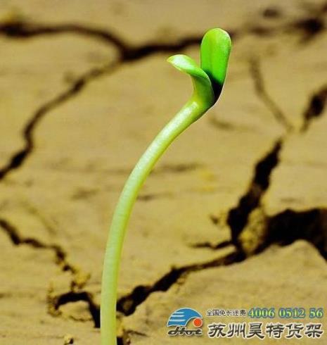 什么是自己的生命价值