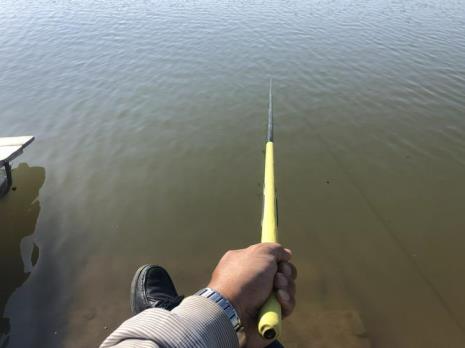 海边扔吧鱼怎样钓