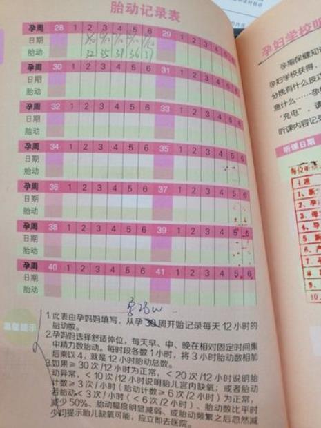 怀孕周数怎么算更准确