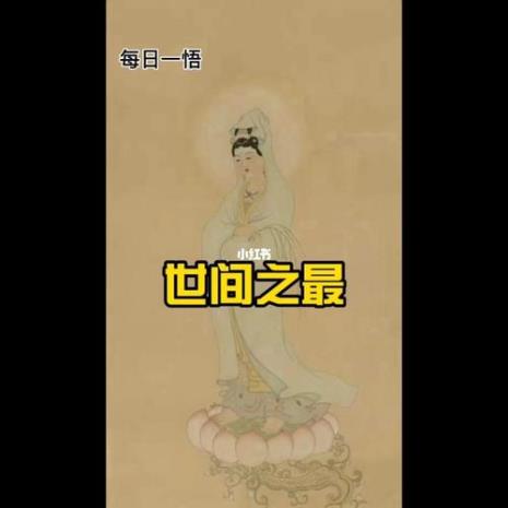 三年级每日一悟短语