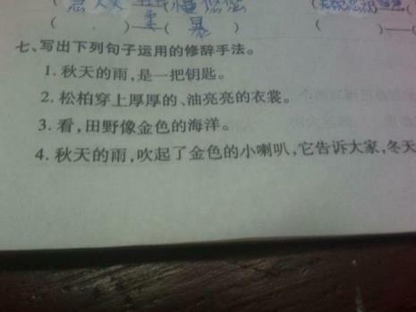 项链用的是什么修辞手法
