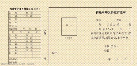 小学义务教育证书编号怎么编