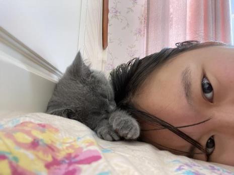 蓝猫很笨吗