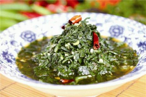 苦菜有何特点