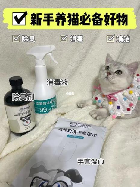 怎么给猫办检疫证和消毒证