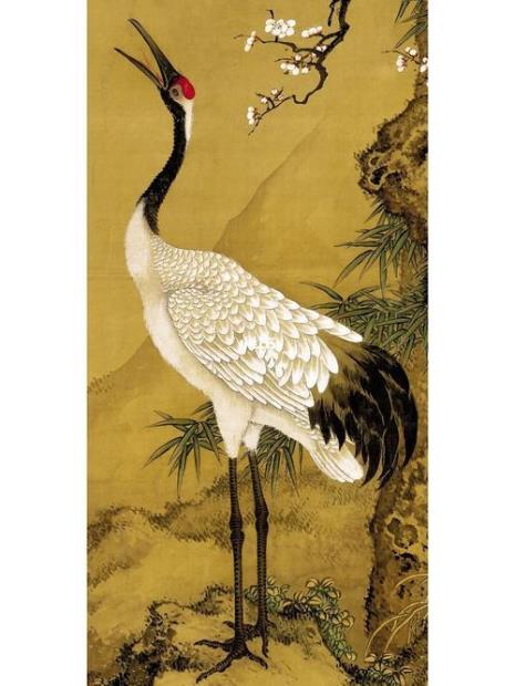像松鹤的鸟是什么鸟