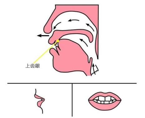 n和l发音不标准的是哪里人