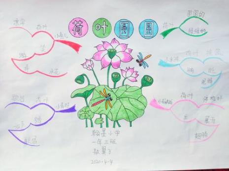 荷叶圆圆的画怎么写