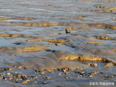 为什么澳门海水是黄的