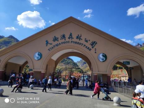 金地玩呗森林公园要门票吗