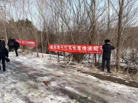 打鸟违法犯罪吗