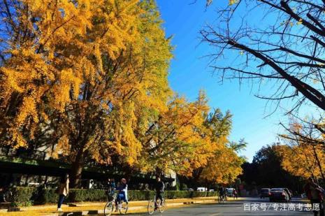 现在哪些地方的大学比较冷门