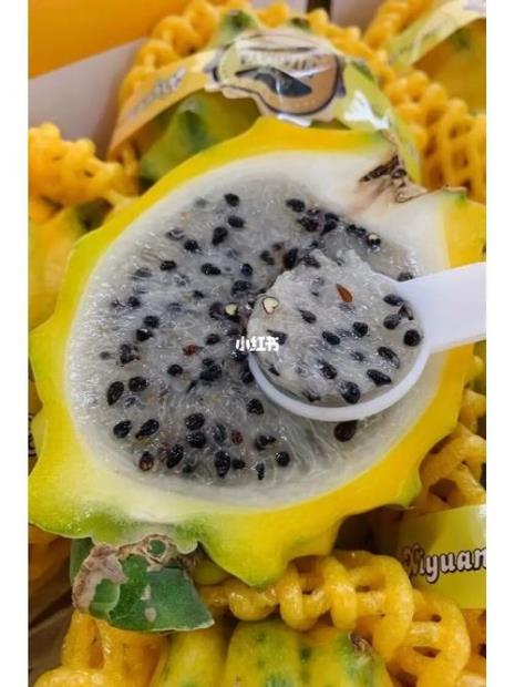 燕窝果怎么算熟