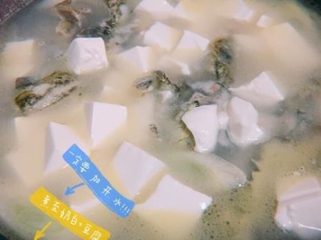 黄肯鱼豆腐汤的做法