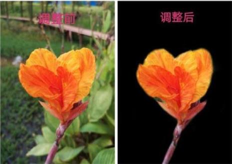 手机拍的照片如何调色
