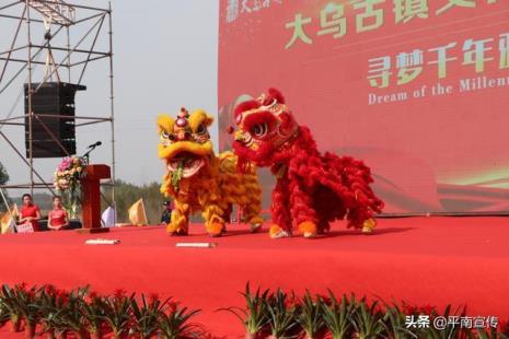 为什么舞狮要采青