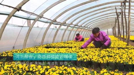 种植花卉业需要哪几个证件