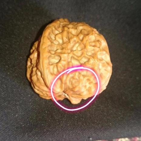 核桃仁外表有毛絮能吃吗