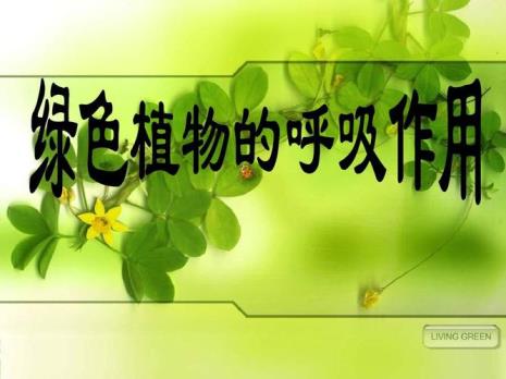 生物为什么要有呼吸作用