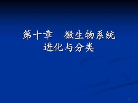 微生物呼吸类型