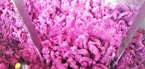 干的紫薯粉怎么做馅