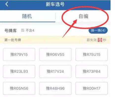 自选车牌号教程