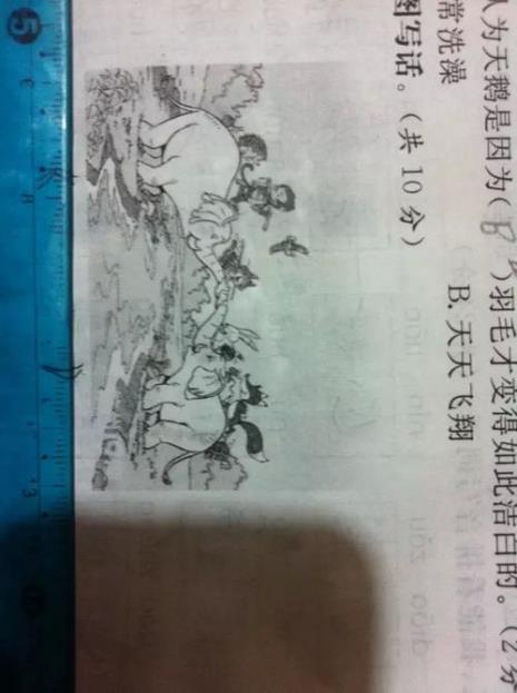 看图写话大象讲故事