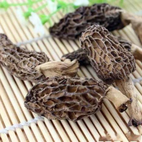 鲜羊肚菌焯水时间