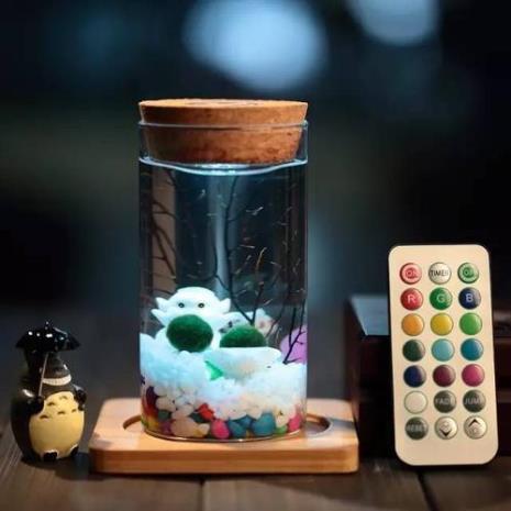 海藻球花语