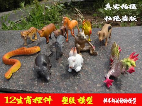 12生肖中动物的分类单位