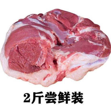 九十斤的羊能出几斤羊肉