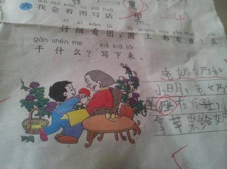 一年级看图写话帮奶奶捡菜