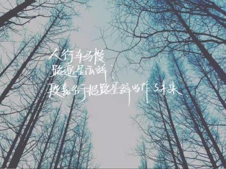 段嘉衍和路星辞的生日