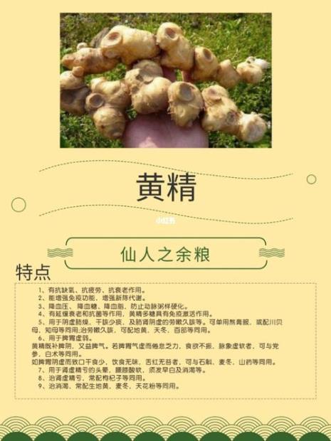 黄精糕制作方法