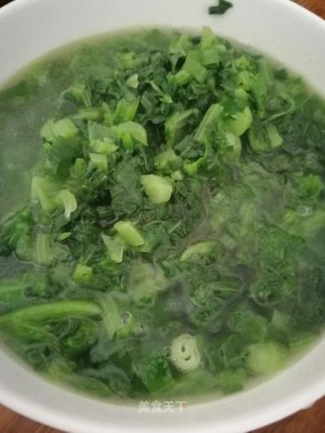 泉水苦菜做法