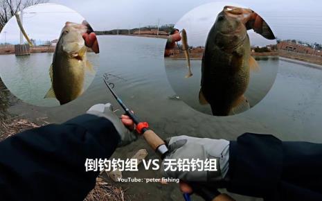 倒钓可以钓金目鲈吗